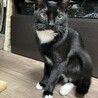 の写真