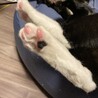 の写真