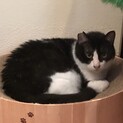 【マックス】募集を終了しました