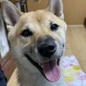 我が家へ来た初めての日