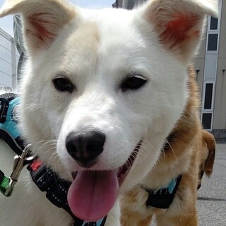 ご家族が決まりました！