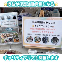保護犬ご縁探し会＆相談会 サムネイル3