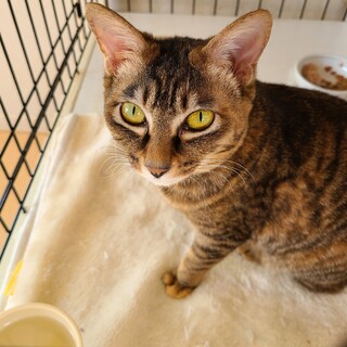 明るい性格でとても良いこ