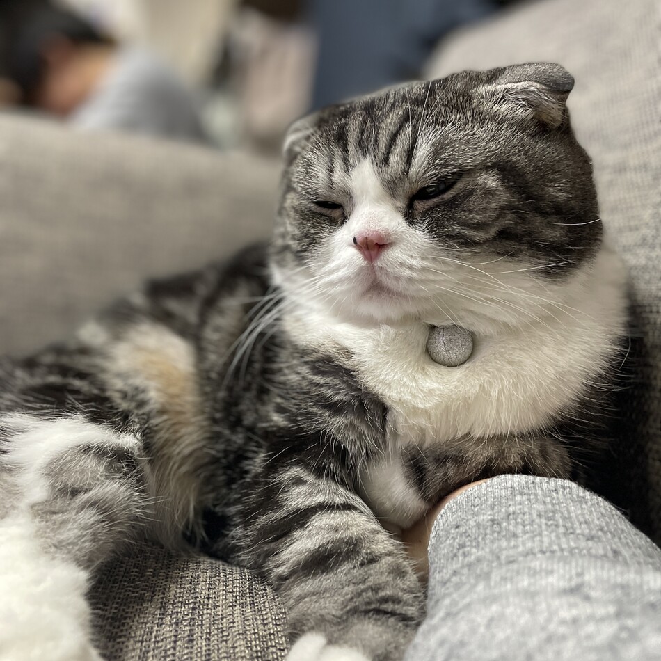 銀河のカバー写真