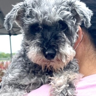 22-W316　可愛い過ぎますね♪