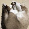 うキた