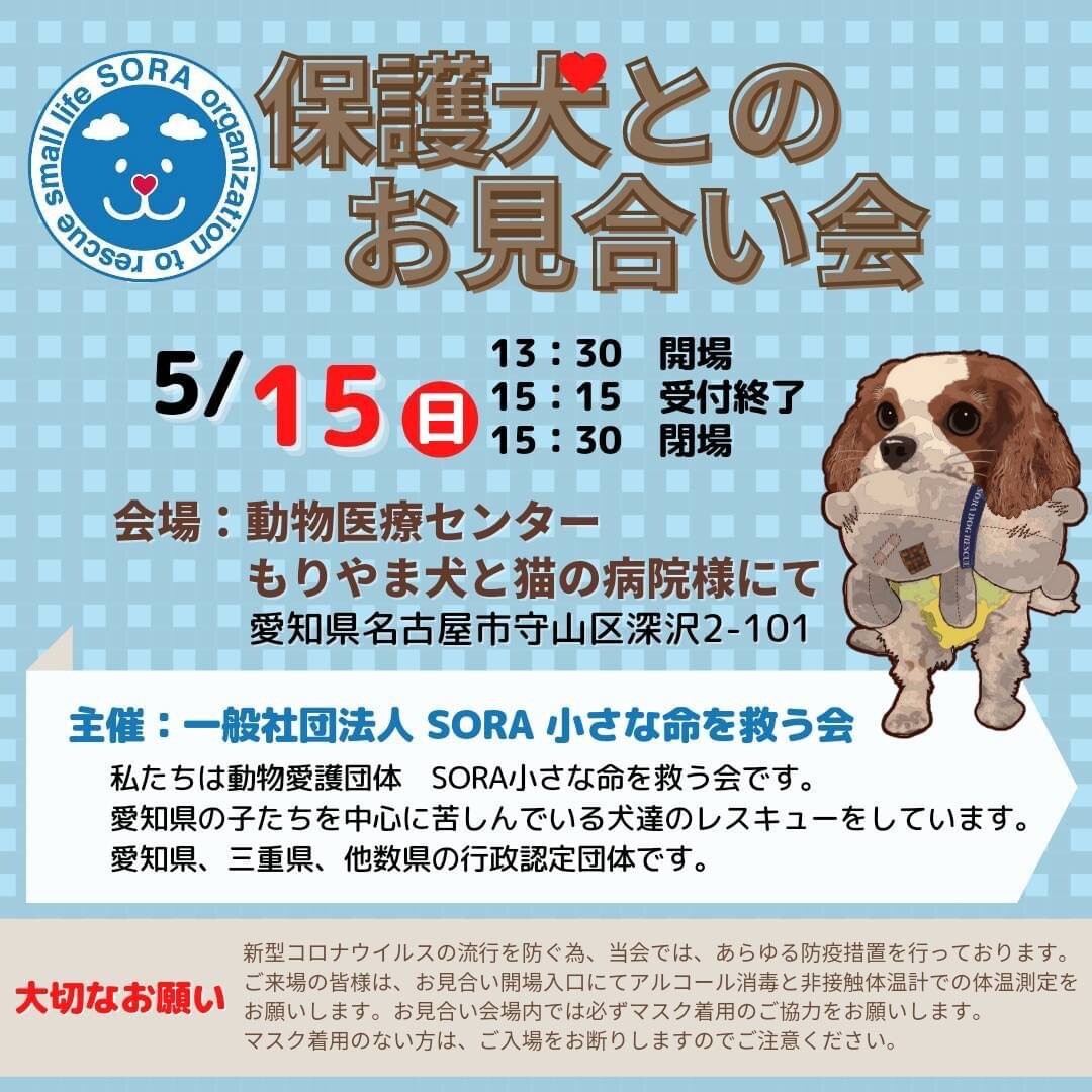名古屋市守山区 保護犬の 一般社団法人sora 小さな命を救う会のイベント ペットのおうち 月間利用者150万人