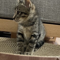 里親さんからのお写真④