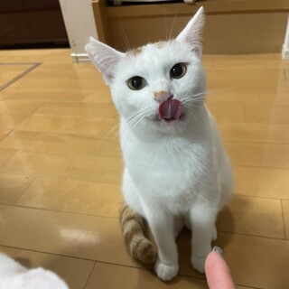 あまえっ子に進化中！！ハナくんです
