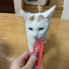 あまえっ子に進化中！！ハナくんです サムネイル2