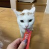 あまえっ子に進化中！！ハナくんです サムネイル3