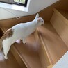あまえっ子に進化中！！ハナくんです サムネイル4