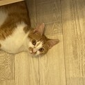 甘えん坊の女の子、あかりちゃんです♪