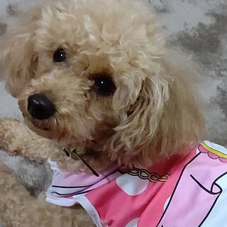 目の見えない2歳の女の子