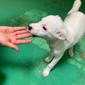 ありがとうございました！