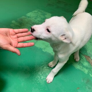 ありがとうございました！