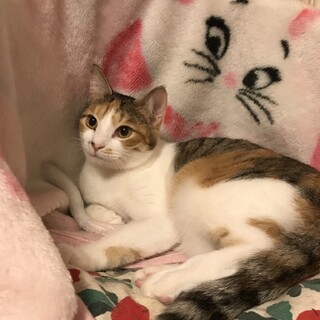 元気いっぱい！夢いっぱい！！オーロラ姫です