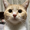 良いご縁に繋がりました。