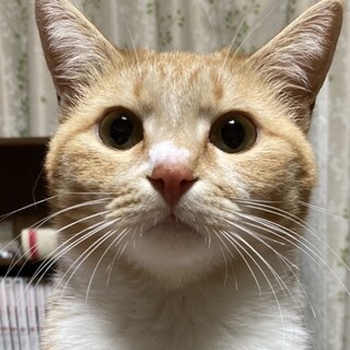 良いご縁に繋がりました。