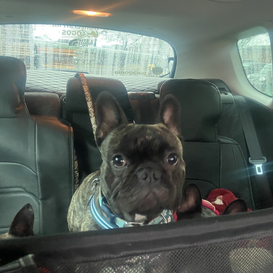 金志朗のカバー写真