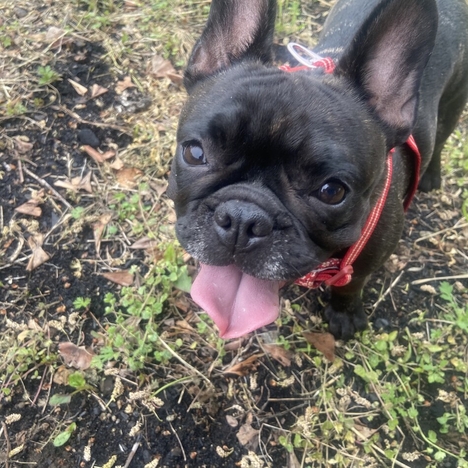 海のカバー写真