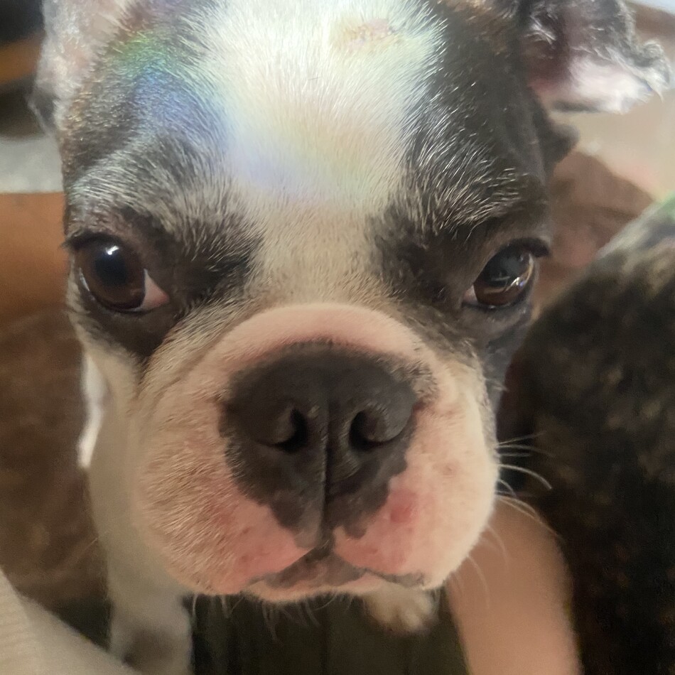 理さとるのカバー写真