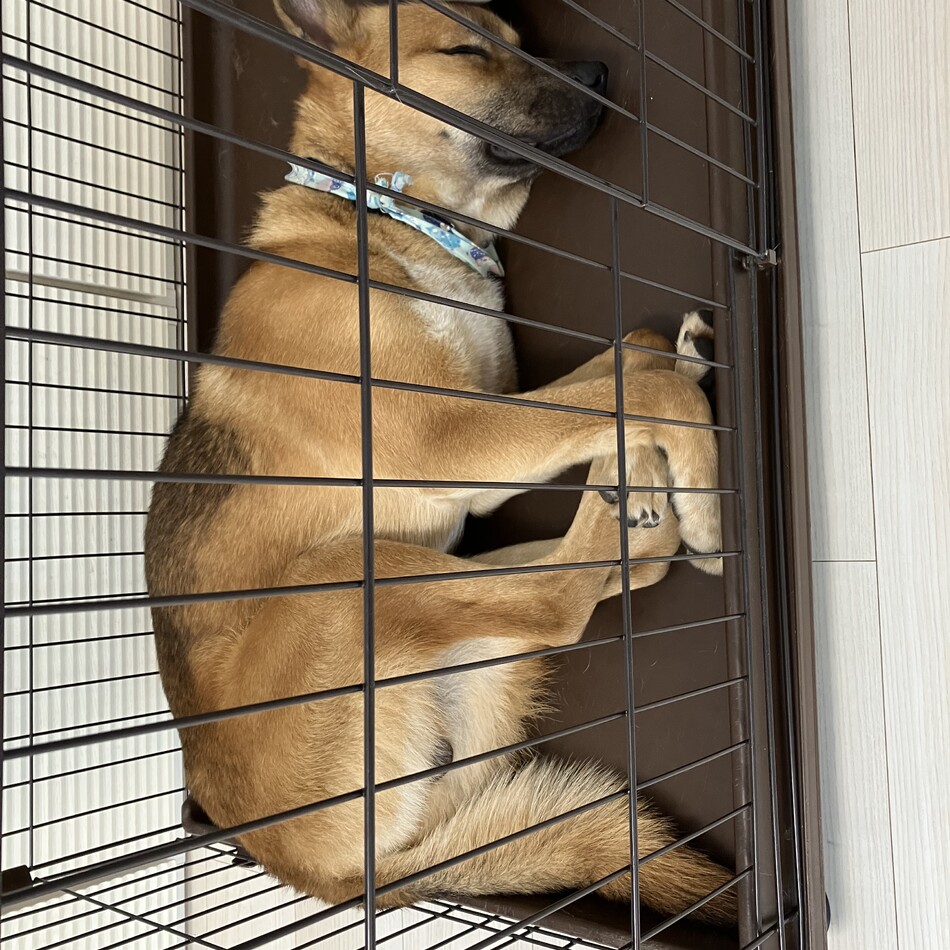 びーのカバー写真