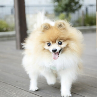 穏やかで優しい☆満天くん