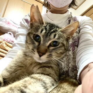 かわいい女の子