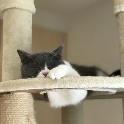 お昼寝めいちゃん