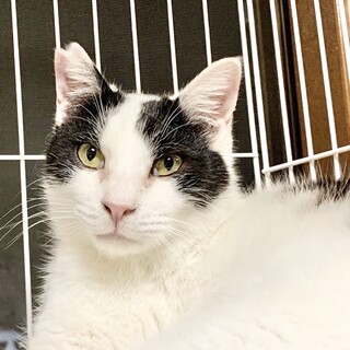 ♦甘えん坊な男の子♦