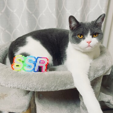 の写真