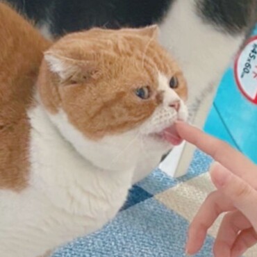 写真で事故ることがままあります。よく言えば、フォトジェニックです。