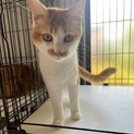 遊ぶのが大好きな、たっくん