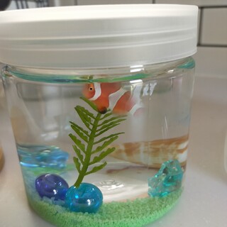 カクレクマノミ1匹