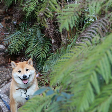 山登り楽しかったね