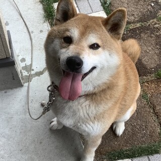 存在感バッチリのシュンくん