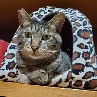 ぼくを見て！アピール強めふじおくん