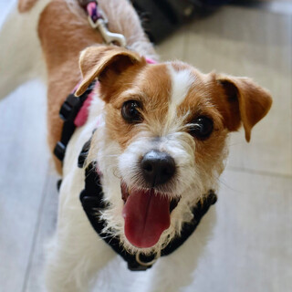 ジャックリンです！