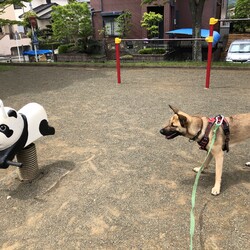 千村台の公園で。