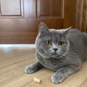 掲載再開日時未定ですm(__)m