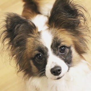 天真爛漫！人懐っこくて甘えん坊な女の子♡