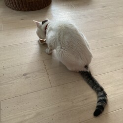 ユズコさん、介護食食べてパワー出す