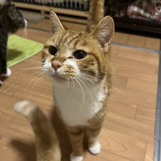 不器用だけど甘えたい..たっくん♂