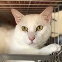 【アロヒ】募集を終了しました
