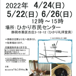 ねこのWa猫譲渡会