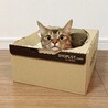  さん