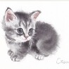 ぽにょりんこ