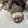 まゆみんんん