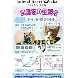 保護猫の里親会　
